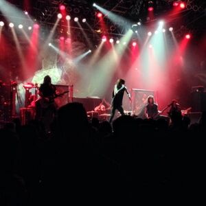 Meet your Posher, Lily